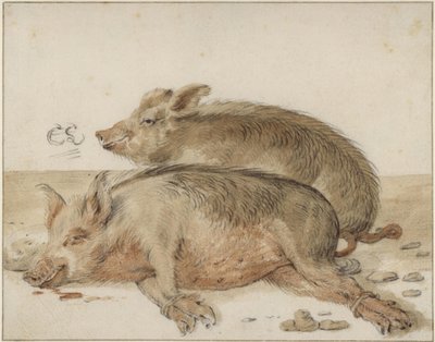 Két disznó alkotó: Cornelis Saftleven