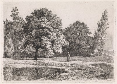 Táj, fák, tó és egy nő Ötödik lakosztály (sorozat címe) alkotó: Cornelis Steffelaar
