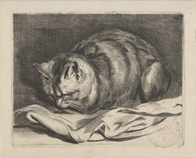 kiscica alkotó: Cornelis Visscher (II)
