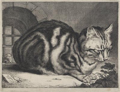 A nagy macska alkotó: Cornelis Visscher (II)