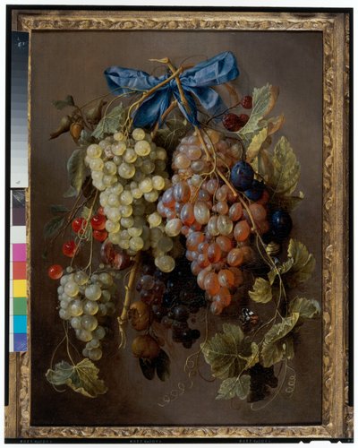Csendélet Szőlő, Cseresznye és Szilva Lóg Egy Köröm Egy Kék Szalaggal alkotó: Cornelis de Heem