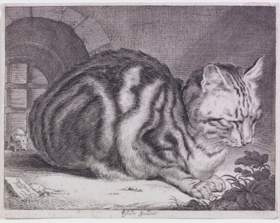 A nagy macska alkotó: Cornelis de Visscher
