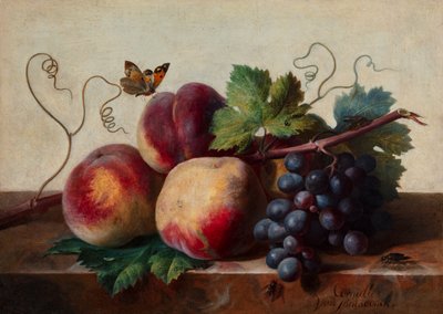 Csendélet őszibarack és szőlő egy márvány asztalon egy pillangóval és más rovarokkal alkotó: Cornelis van Spaendonck