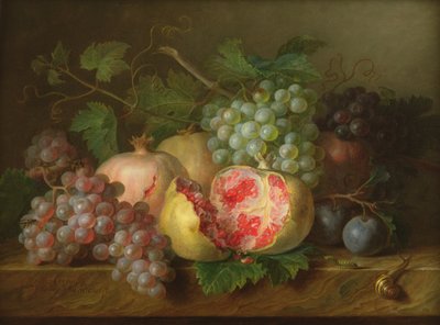 Gránátalma, szőlő és szilva csendélet márvány párkányon (panel) alkotó: Cornelis van Spaendonck