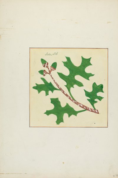 Autogram paplan alkotó: Cornelius Christoffels and Margaret Linsley