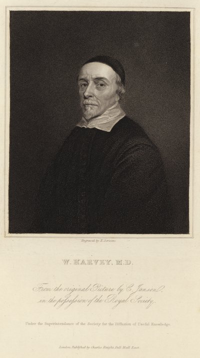 William Harvey alkotó: Cornelius Janssen van Ceulen