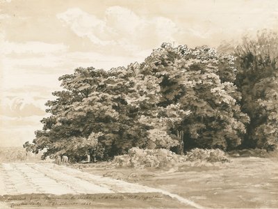 Wrottesley Hall – A cserje: szépia rajz, 1820 alkotó: Cornelius Varley