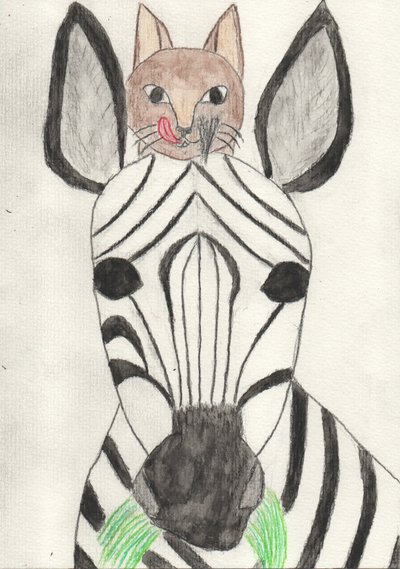 Barátom a zebra alkotó: Crazy Artist