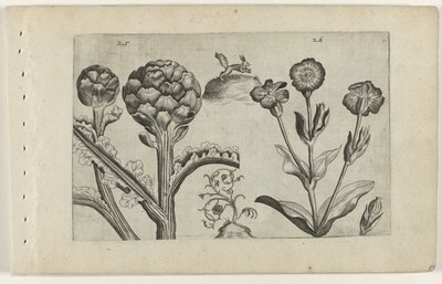 Artisjok en prikneus Ismerje meg a liliomokat (sorozat címe) alkotó: Crispijn van de Passe (I) (attributed to)