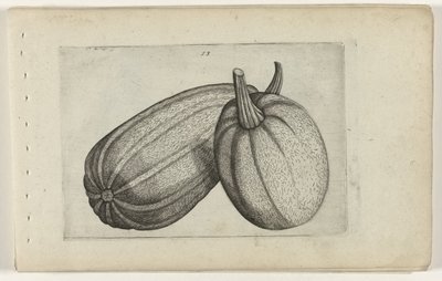 Két dinnye Ismerje meg a liliomokat (sorozat címe) alkotó: Crispijn van de Passe (I) (attributed to)
