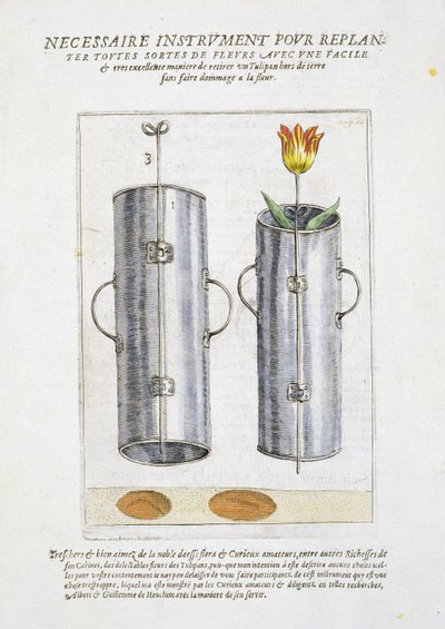 Virágok újraültetésére szolgáló eszköz, a „Hortus Floridus”-tól, 1614-1515 alkotó: Crispin  Passe