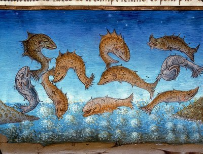 A világ vége: a hal fent fog úszni (c.147r). 1476 alkotó: Cristoforo De Predis