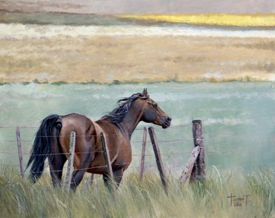 Dreams of Freedom, 2010 (olaj, vászon tábla) alkotó: Cruz Jurado Traverso