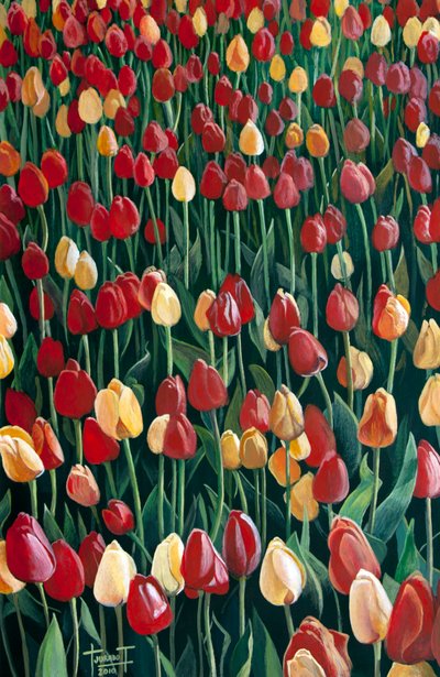 Tulipánok, 2010 (akril, papír) alkotó: Cruz Jurado Traverso