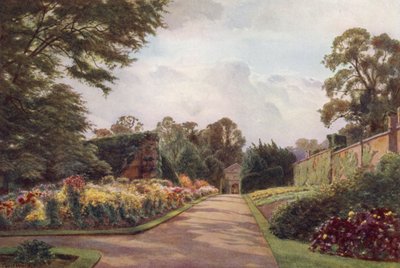 Korai krizantém, Claremont (színes litó) alkotó: Cyril Ward