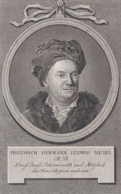 Friedrich Ludwig Hermann Muzel portréja, kb. 1778. alkotó: Daniel Berger