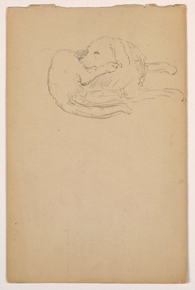 Rajz, Dash (egy szetter), 1862 körül. alkotó: Daniel Huntington