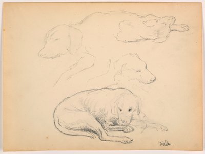 Rajz, Milo (egy mutatós kutya), több tanulmány, 1862 körül. alkotó: Daniel Huntington