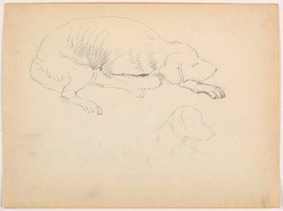 Rajz, Milo (egy mutatós kutya), Két tanulmány, 1862 körül. alkotó: Daniel Huntington