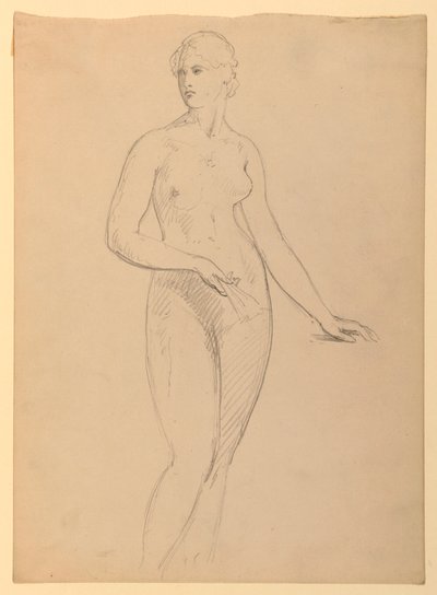 Rajz, Henry Schieffelin asszony, S, 1881 alkotó: Daniel Huntington