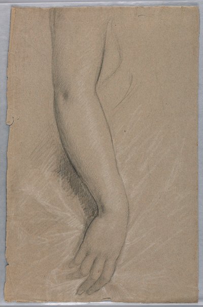 Rajz, Mrs. Rutherford B Hayes, 1880 alkotó: Daniel Huntington