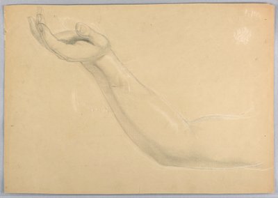 Rajz, tanulmány a "C" duplikátumához, 1850 alkotó: Daniel Huntington