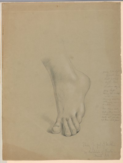 Rajz, tanulmány a "Christiana" másolatához, 1850. március alkotó: Daniel Huntington