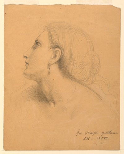 Rajz, Tanulmány a "Szőlőszedők"-höz, 1855. július alkotó: Daniel Huntington