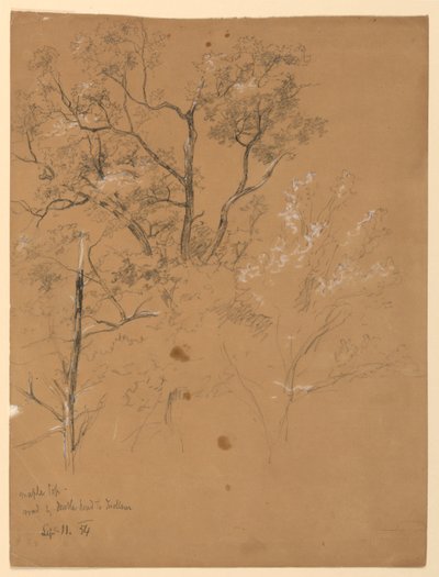 Maple Top a Road to Jackson, New Hampshire alkotó: Daniel Huntington