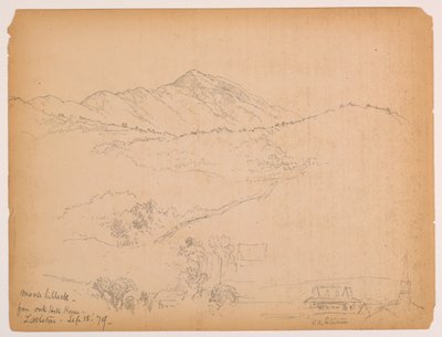 Moose Hillock az Oak Hill House-ból, Littleton, New Hampshire alkotó: Daniel Huntington