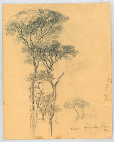 Fenyőtanulmány, Borghese Villa, Róma alkotó: Daniel Huntington