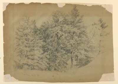 Study of Trees, North Conway, New Hampshire   1261925   hu       hungarian Successfully Translated  Original: Christ on the Road to Calvary Translat: Christ on the Road to Calvary 1400331 hu hungarian Successfully Translated Original: Hameji Castle - Morni alkotó: Daniel Huntington