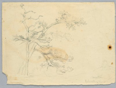 Két fenyő tanulmányozása, Catskill-hegység alkotó: Daniel Huntington