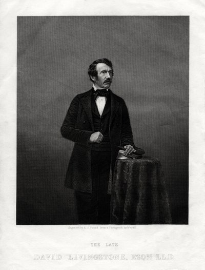 David Livingstone skót misszionárius és afrikai felfedező, 1880 alkotó: Daniel John Pound
