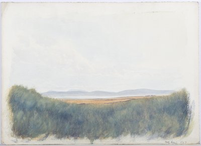 Szent Sziget, 1893 (ceruza és WC papíron) alkotó: Daniel Oliver