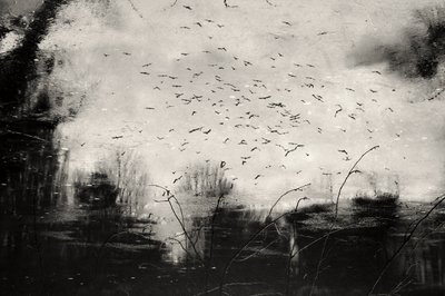  alkotó: Daniela Riegler