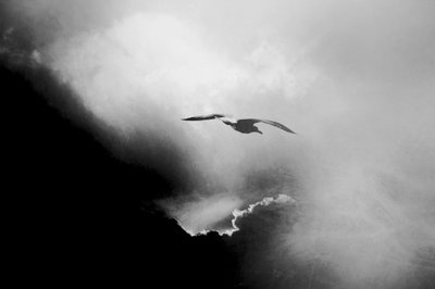  alkotó: Daniela Riegler