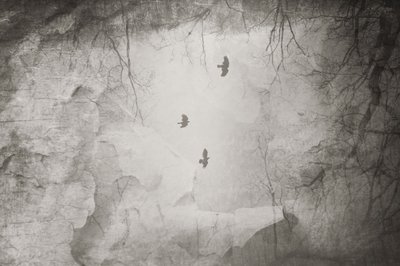  alkotó: Daniela Riegler