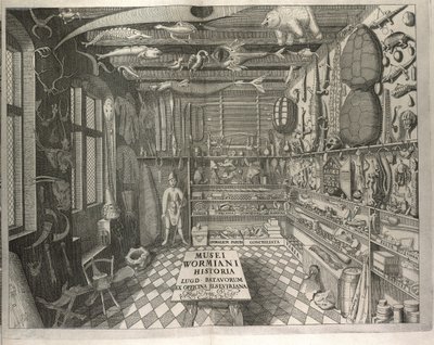 "Musei Wormiani Historia" előlapja a "Museum Wormianum"-ból, Ole Worm alkotó: Danish School