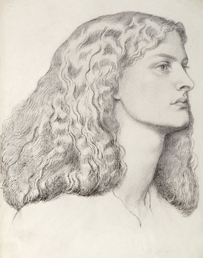 Annie Miller (toll és tinta) alkotó: Dante Gabriel Charles Rossetti
