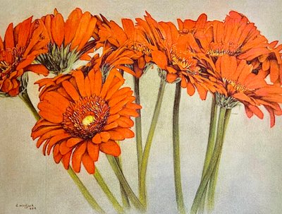Orange Burst, 2019 (ceruza, akril, papír) alkotó: Darrell Windjack