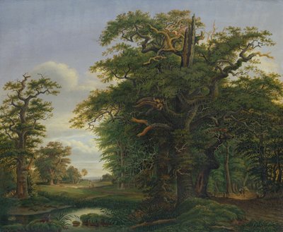 Tölgyfa, 1847 alkotó: David Christopher Mettlerkamp