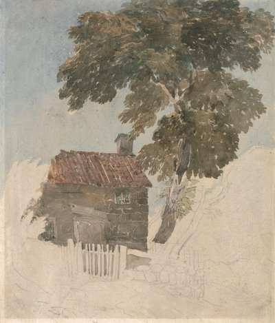Kunyhó és fák alkotó: David Cox