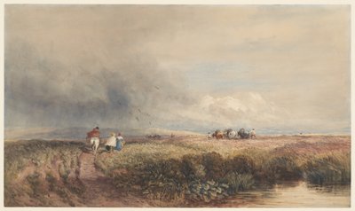  alkotó: David Cox