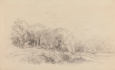 Táj a fákkal alkotó: David Cox