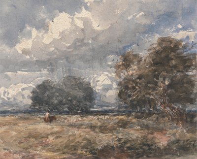 Pásztor a nyáj, szeles nap alkotó: David Cox