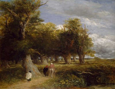 Az erdő szoknyái, 1855 alkotó: David Cox