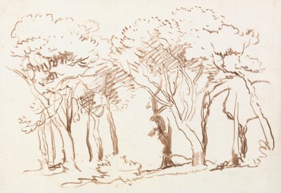 Fák tanulmányozása alkotó: David Cox
