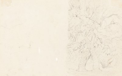 Fák [fordítva] alkotó: David Cox