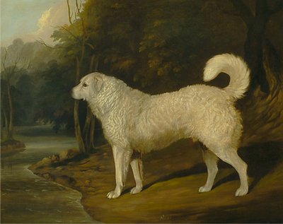 Egy kutya portréja, Ross alkotó: David Dalby of York